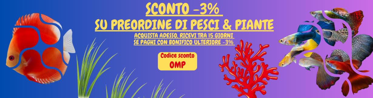 Discus 