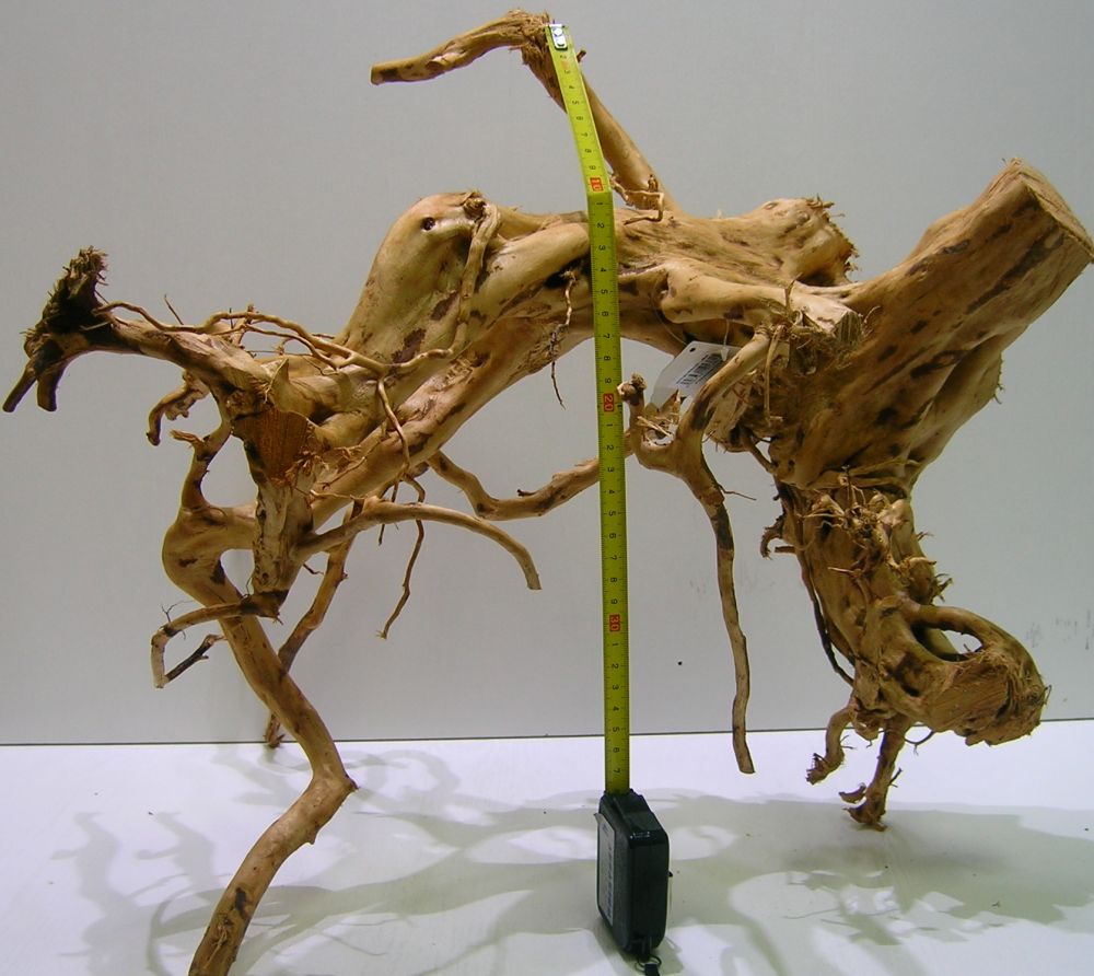 Radice Di Mangrovie Per Acquario - Legno Naturale XL 104 Cm, Decorazione Per Pesci E Piante Acquatiche