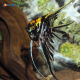 Scalari Black & Marble Wailtail 