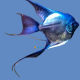 2 Scalari Pinoy Avatar Blù Diamond 3/3,5cm