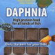 5 Blister Daphnia 100gr.