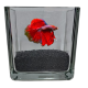 Acquarietto Bettiera 12cm